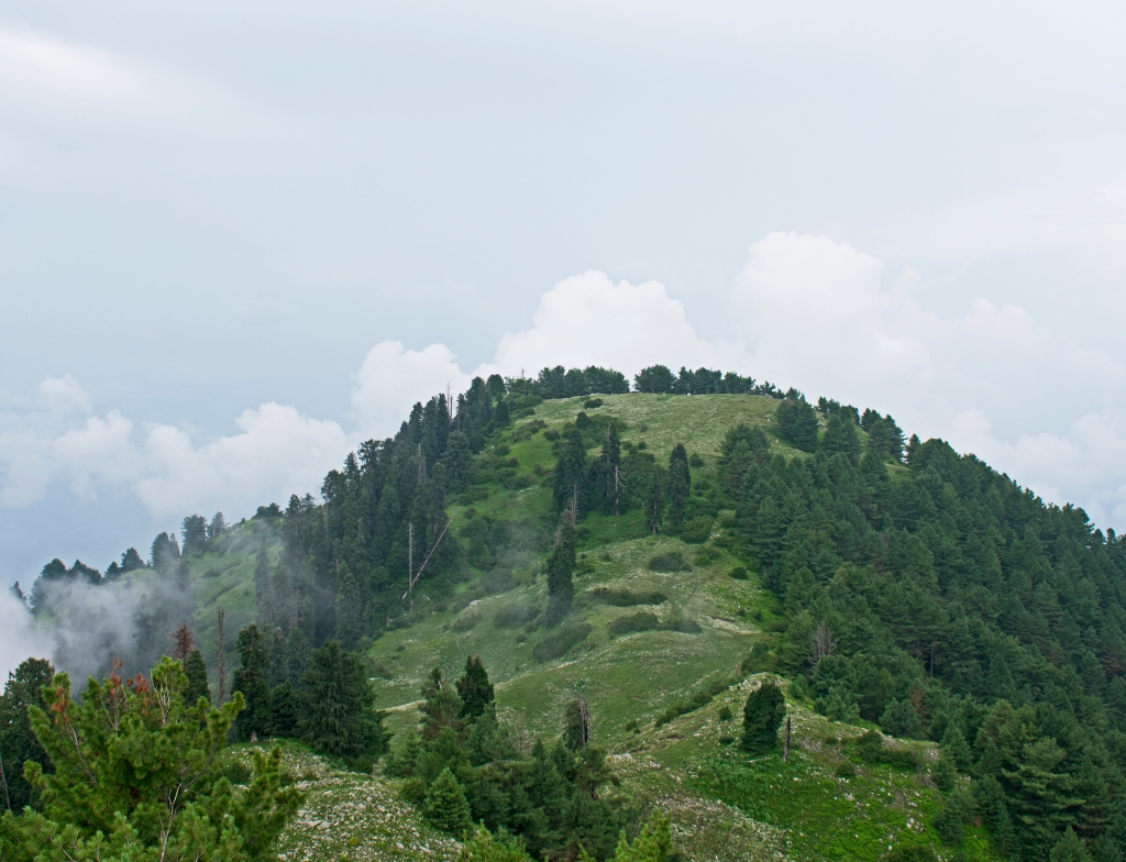 muskpuri peak