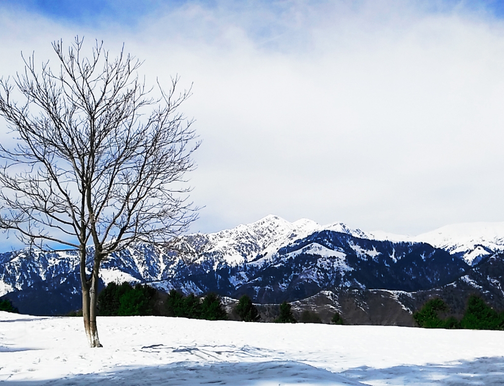 Shogran Siri Paye weather