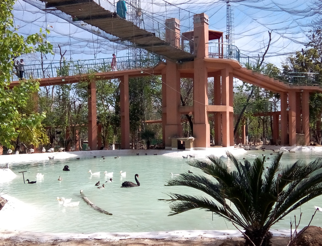 LakeviewparkBirdAVIARY