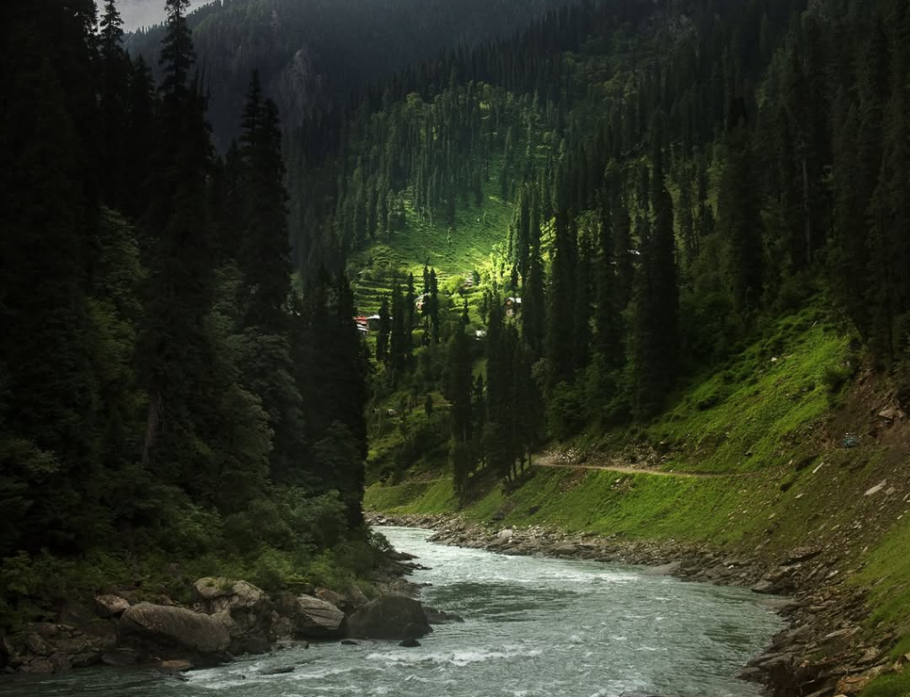 aarang kel