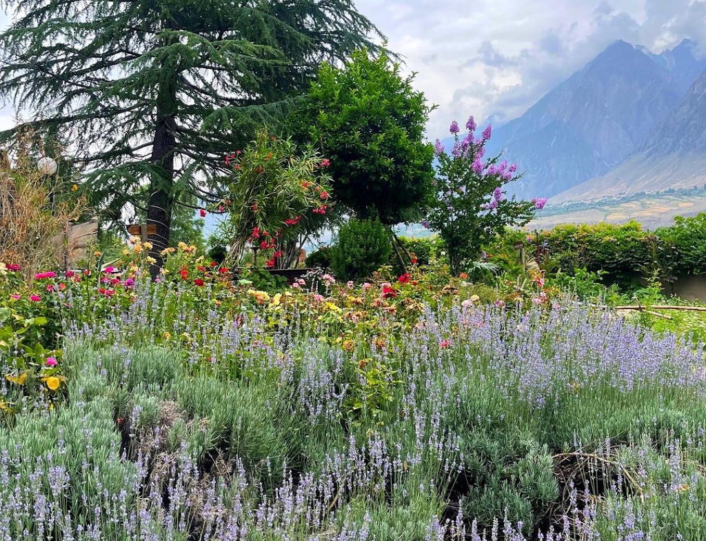 best time to visit kalash valley