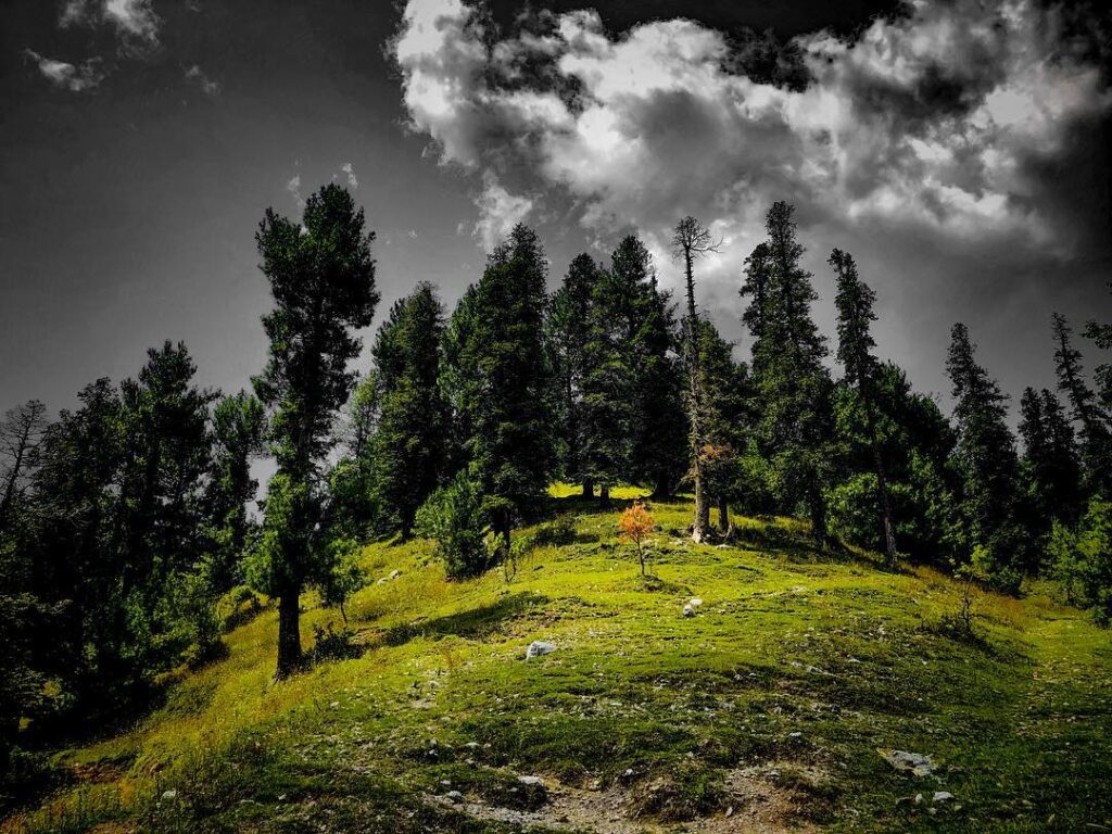 Places to visit in murree
