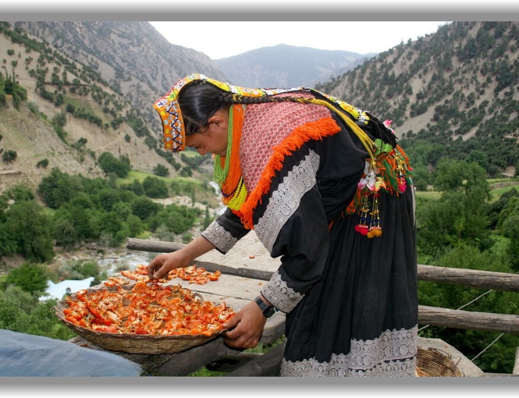 kalash valley road