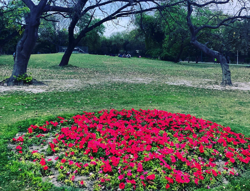 Ticket Price at Park