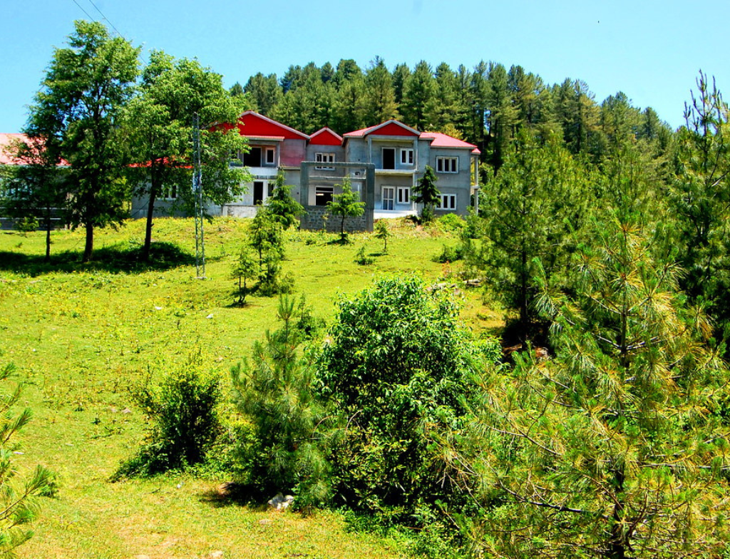 toli peer hotels