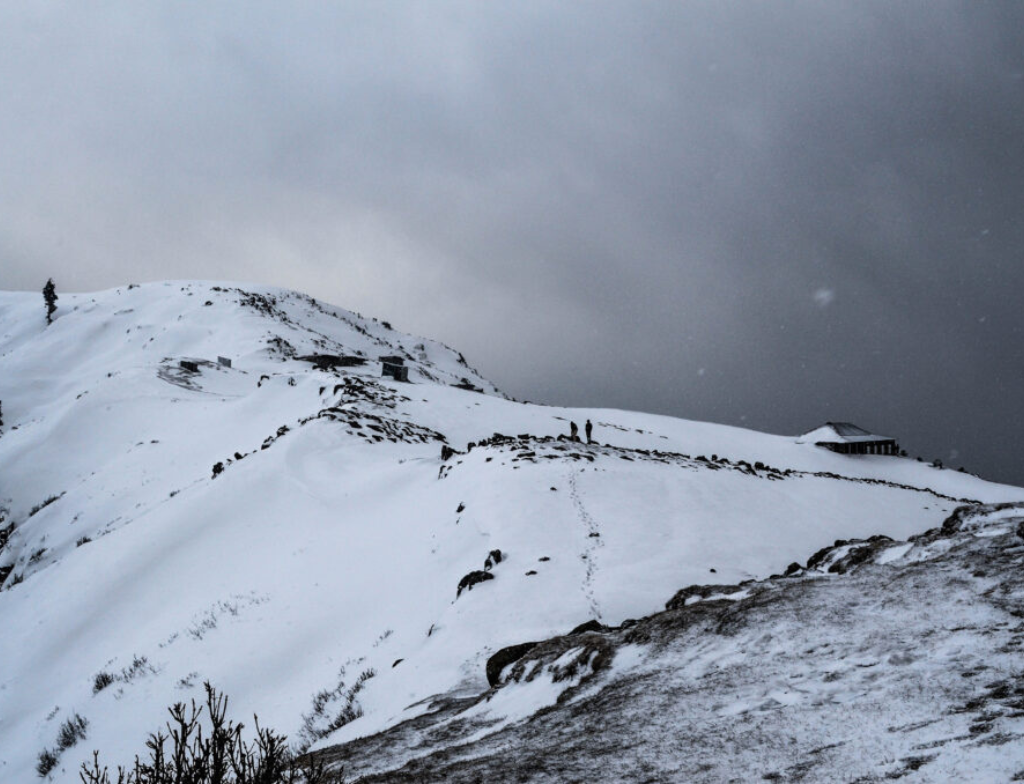 toli peer in winter