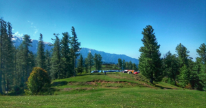 Shinkiari featured image