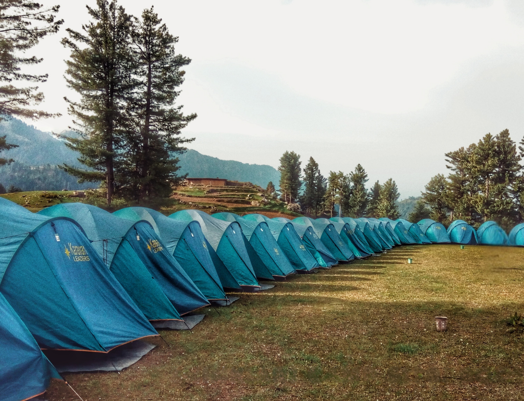 personal experience at Shinkiari