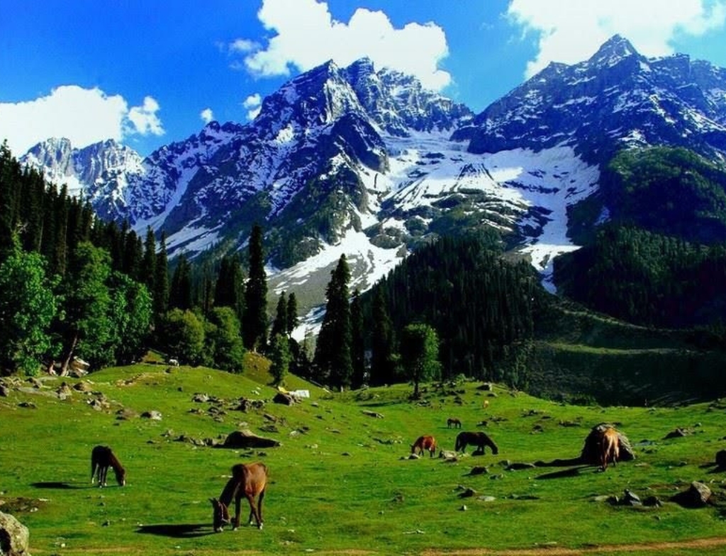 kashmir beauty