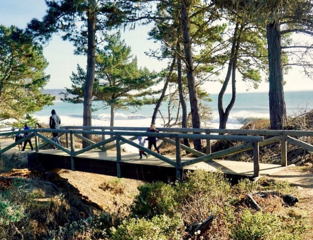 UC Santa Cruz ARBORETUM