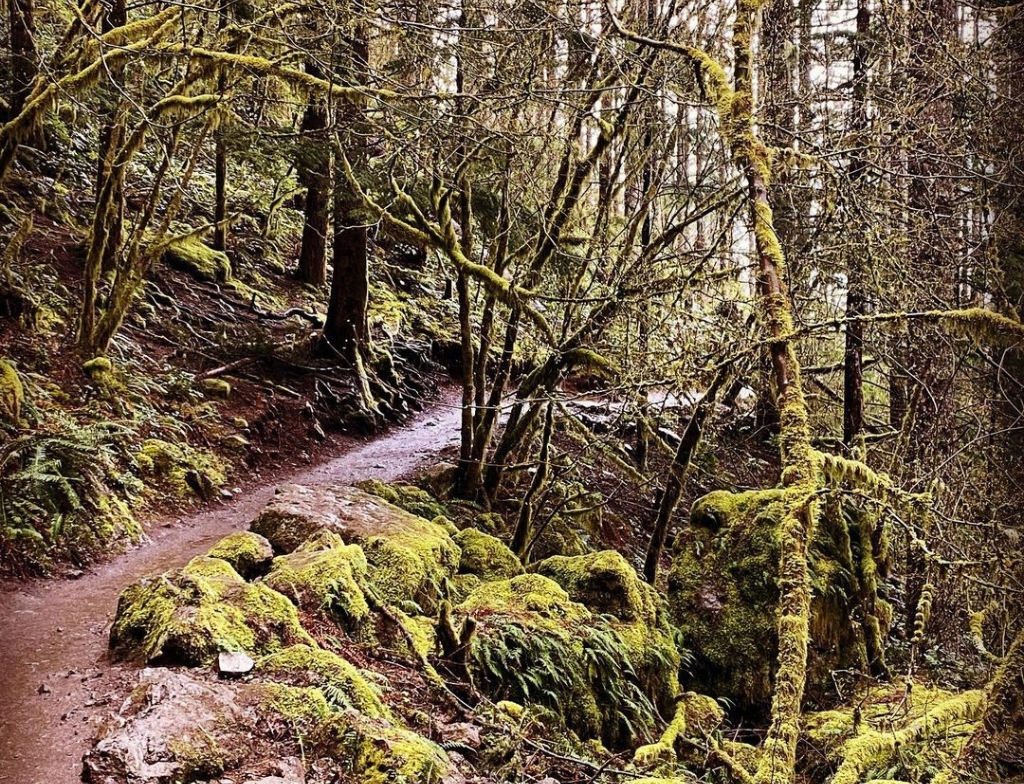 rattlesnake ledge trail condition