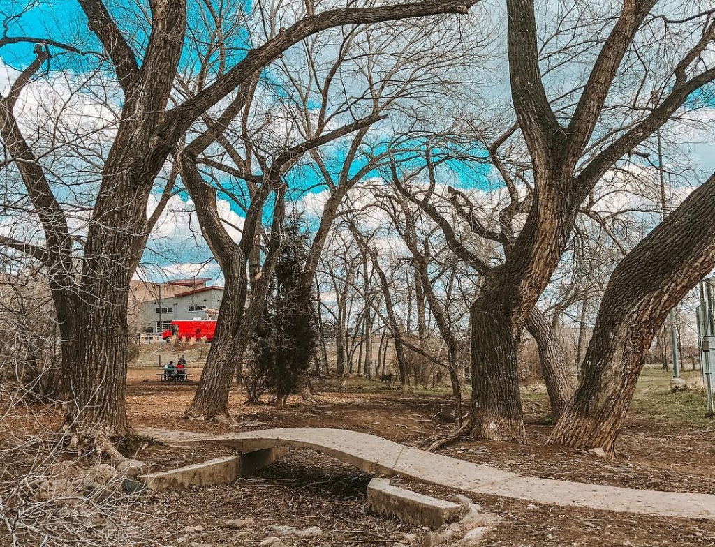 Best Dog Parks in the US tony gramsas dog park 