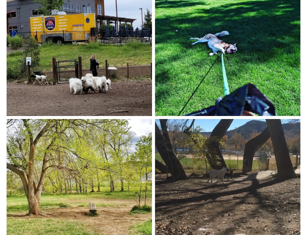 Best Dog Parks in the US photos