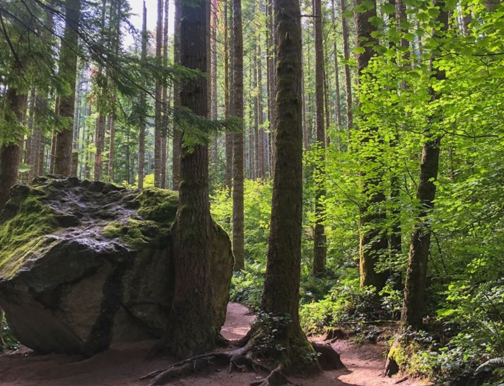 rattlesnake ledge trail directions