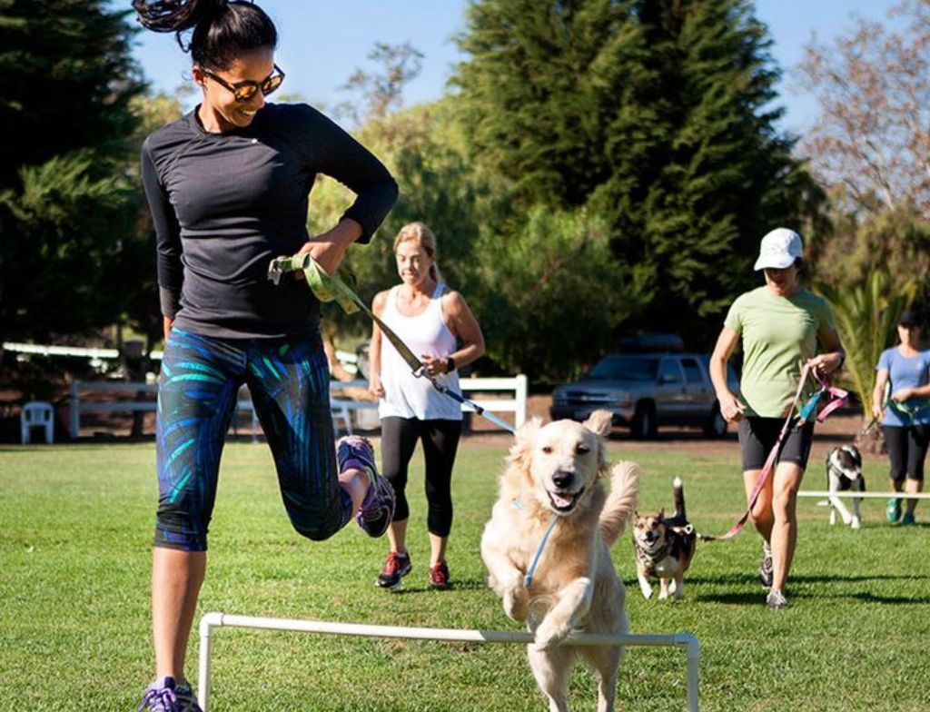 The Best Dog Parks in the US You and Your Pup Can’t Miss