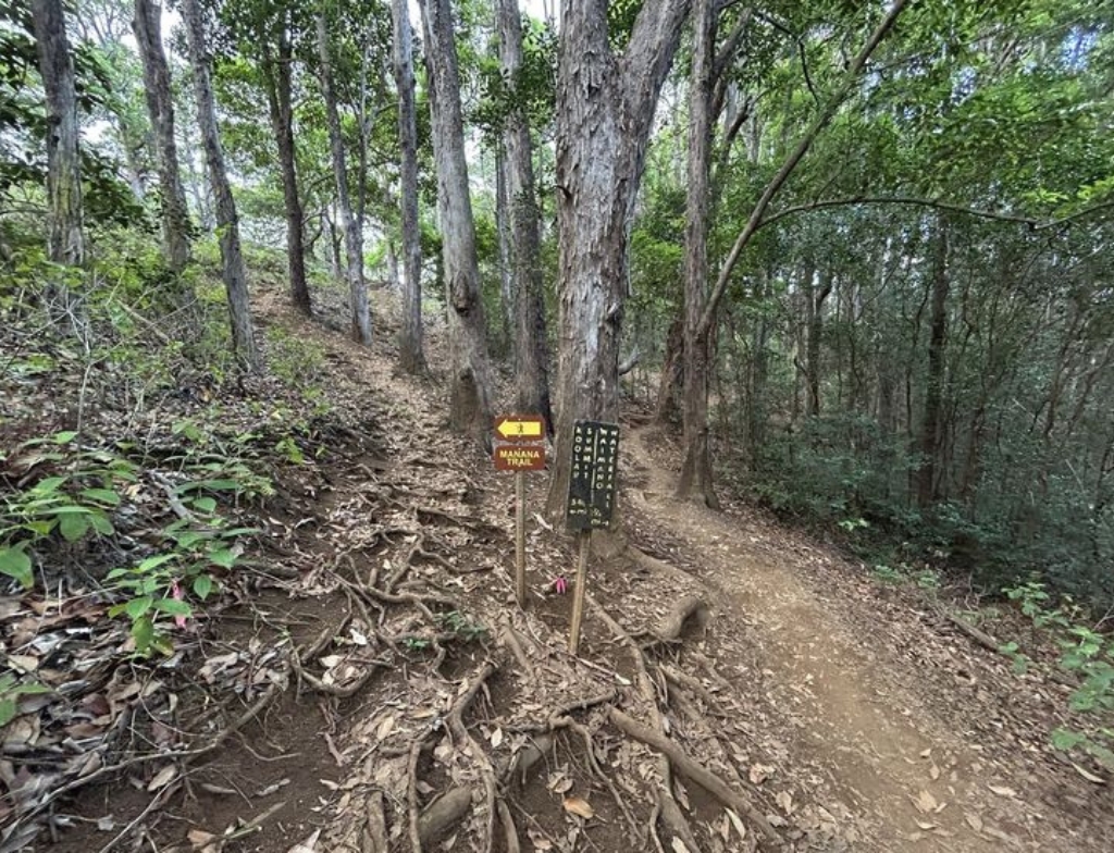 waimano falls trail