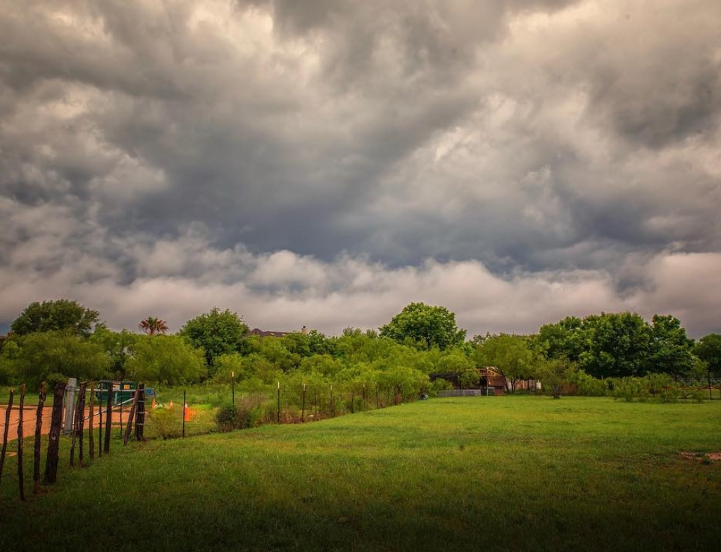 conservancy ofPhilHardbergerpark