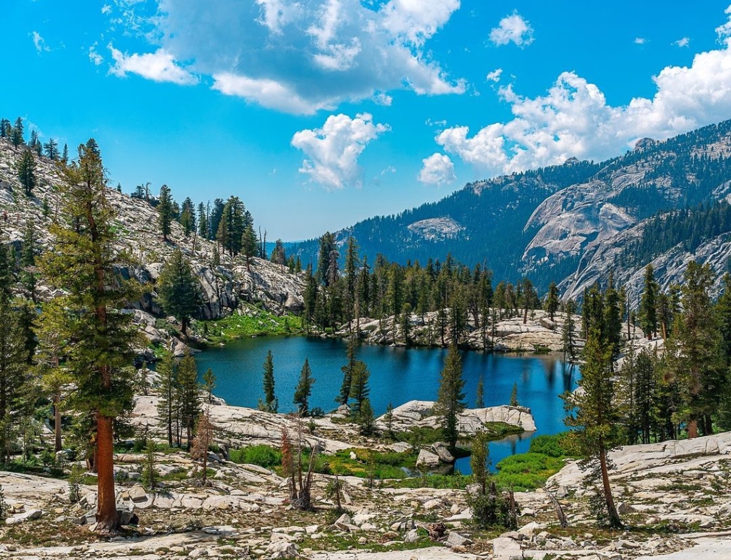 sequoia national park : places to visit in california