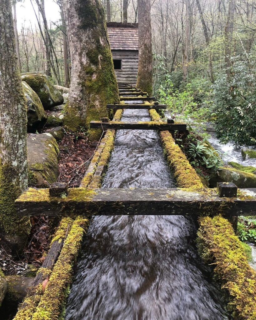 lauren falls trail tennesse