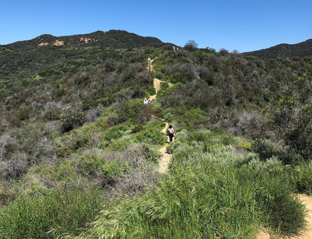 Temescal Canyon Trail