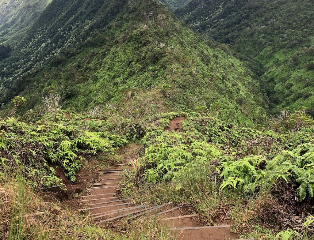 wiliwilinui ridge trail