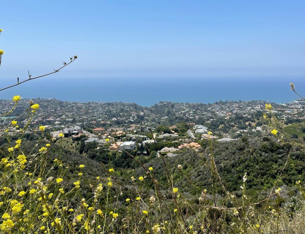 Temescal Canyon