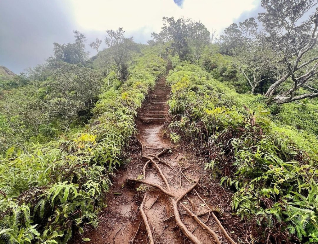 KULIOUOU RIDGE hike