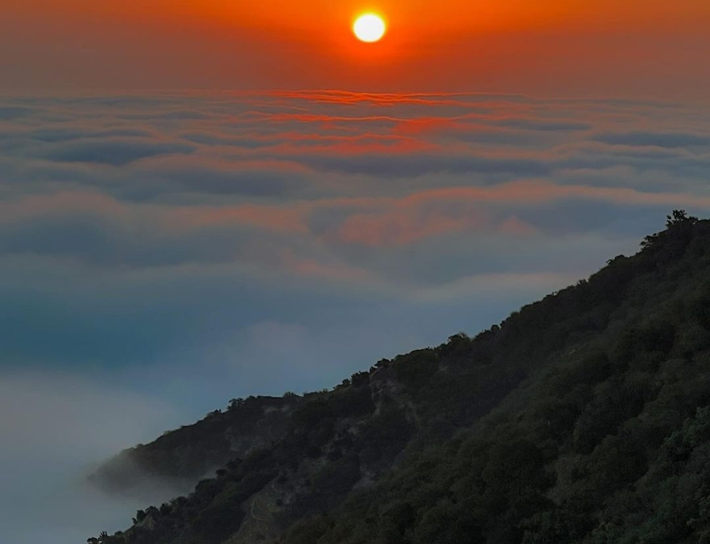 griffith park