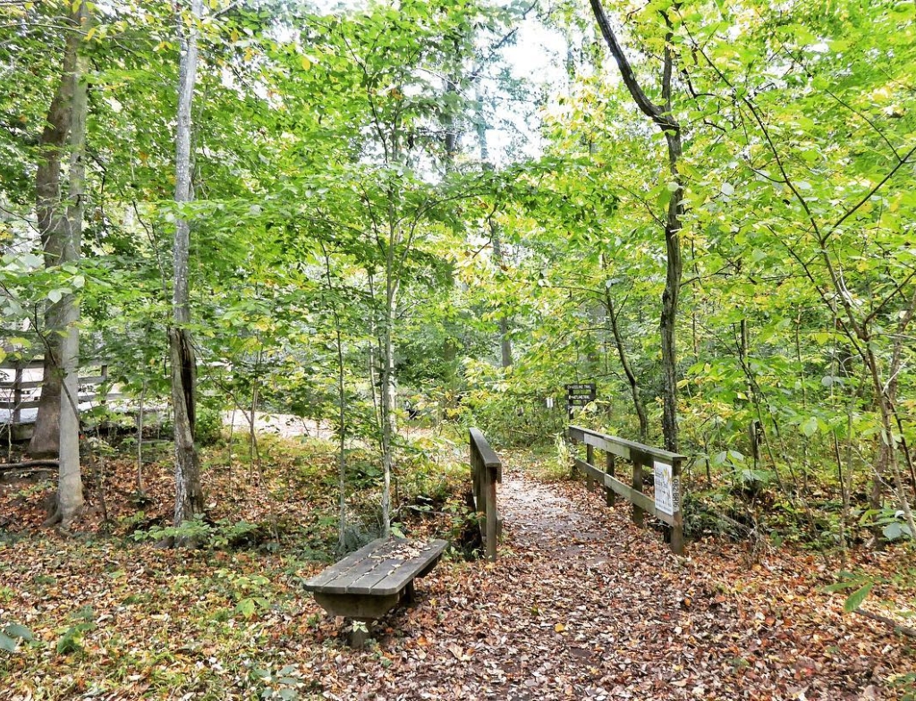 Watkins Regional Park weather