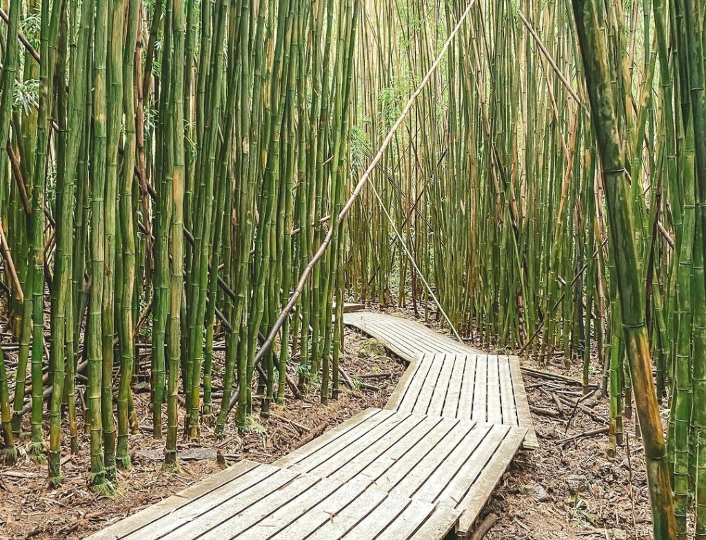 waimoku falls hike