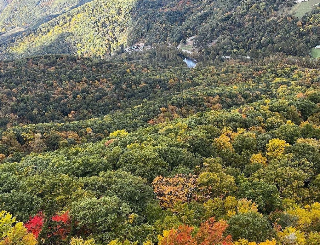 Monongahela National Forest weather