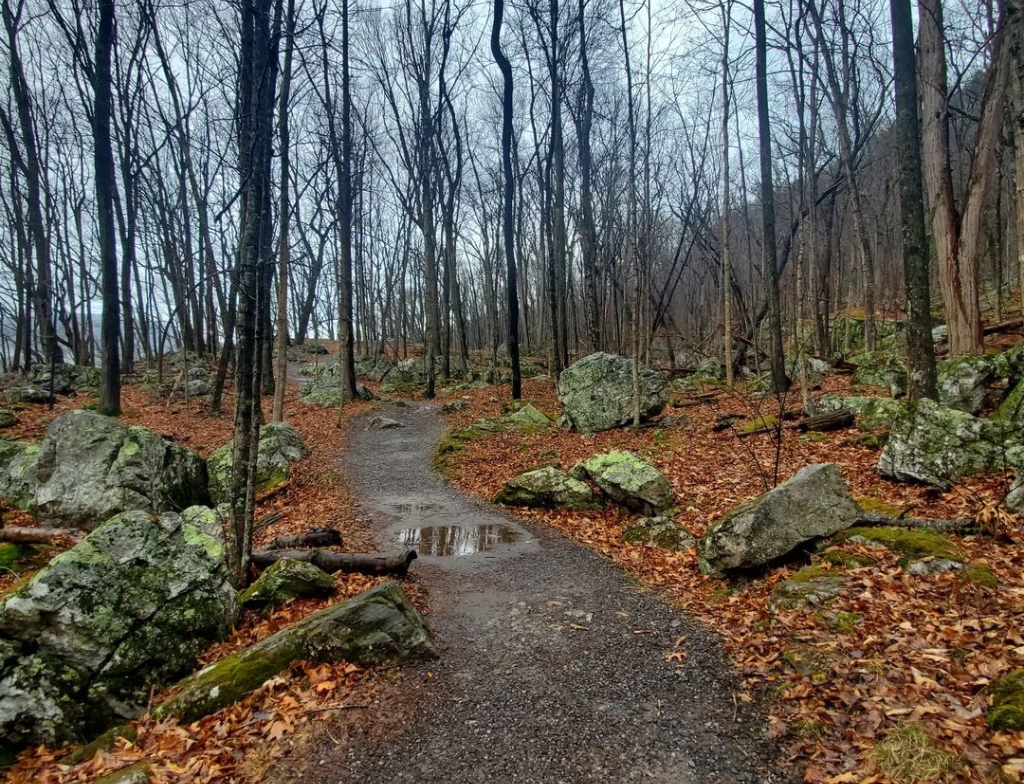 Monongahela National Forest trail