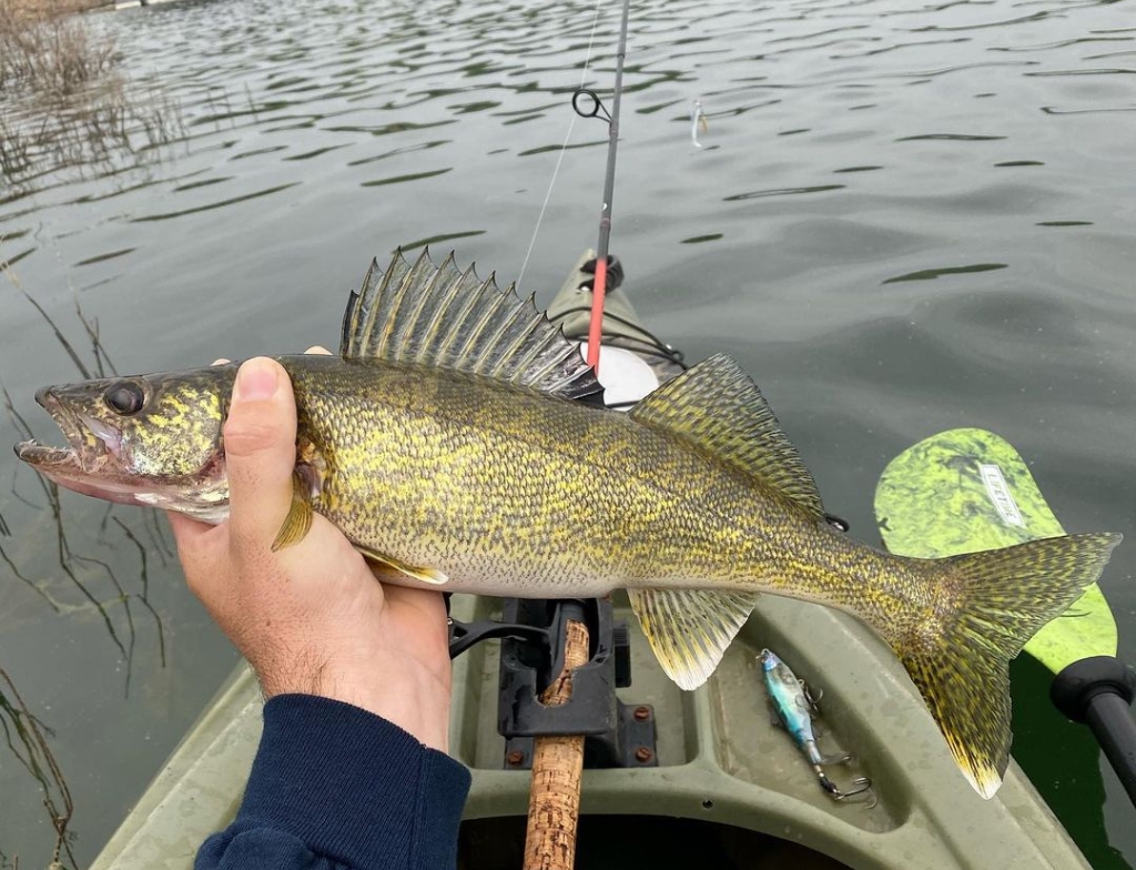 Bull Shoals lake fishing