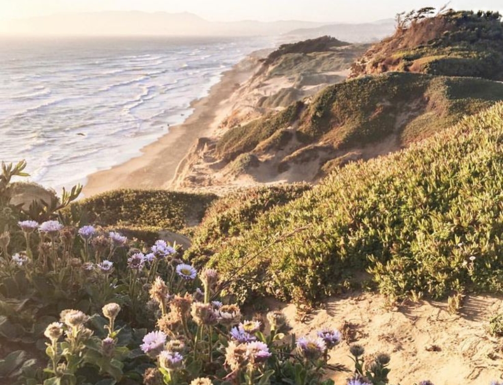 weather of Fort Funston