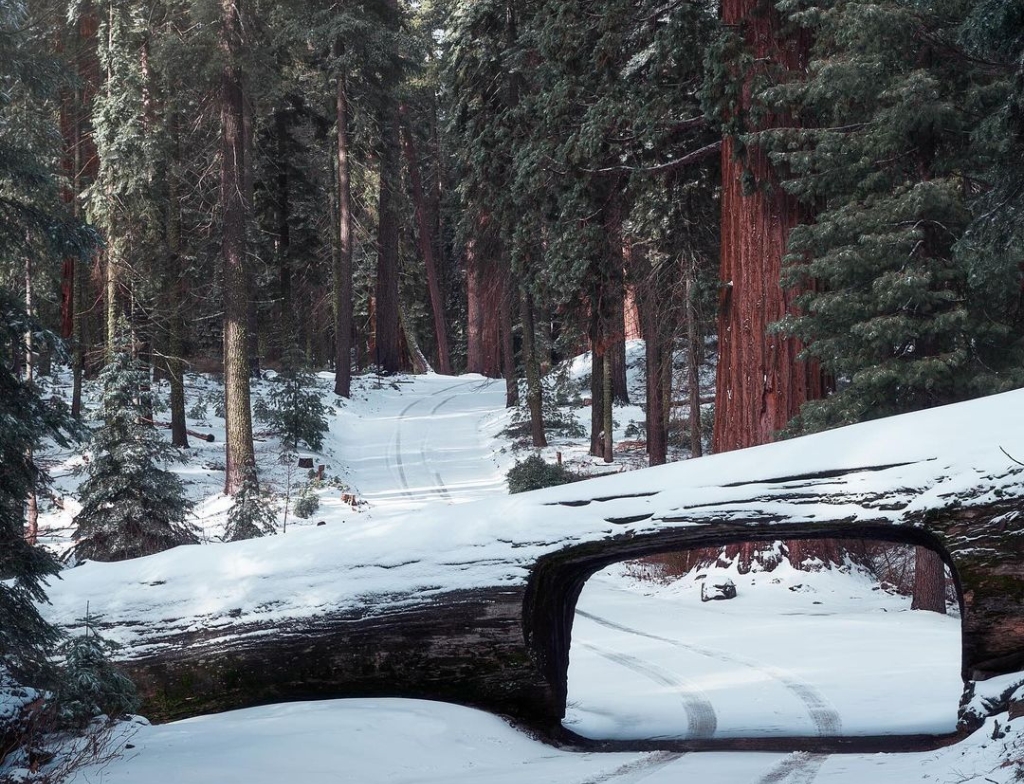 Sequoia National Park attractions