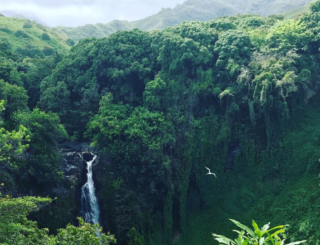 waimoku falls