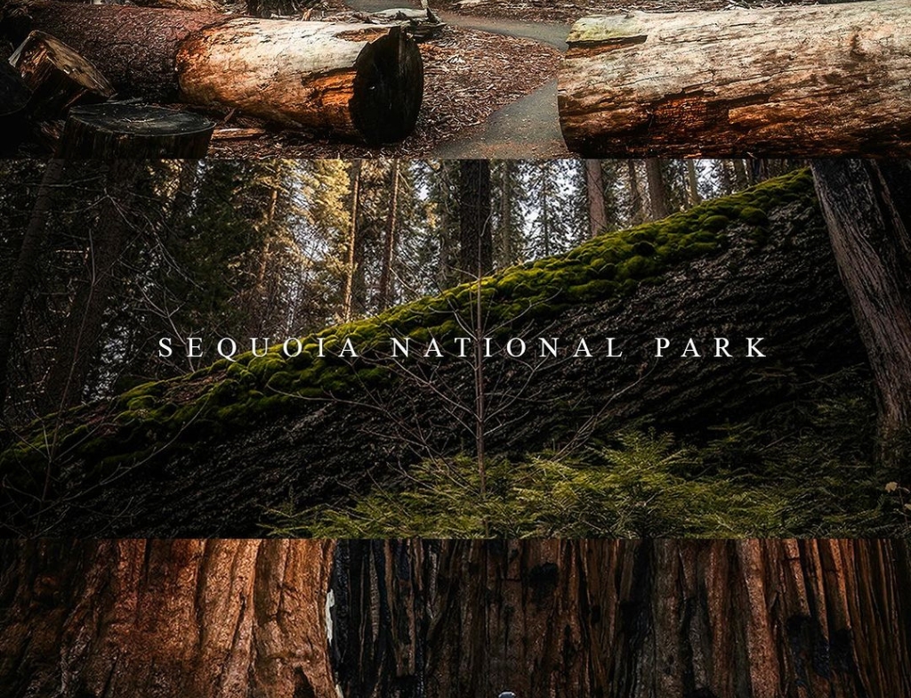 Sequoia National Park