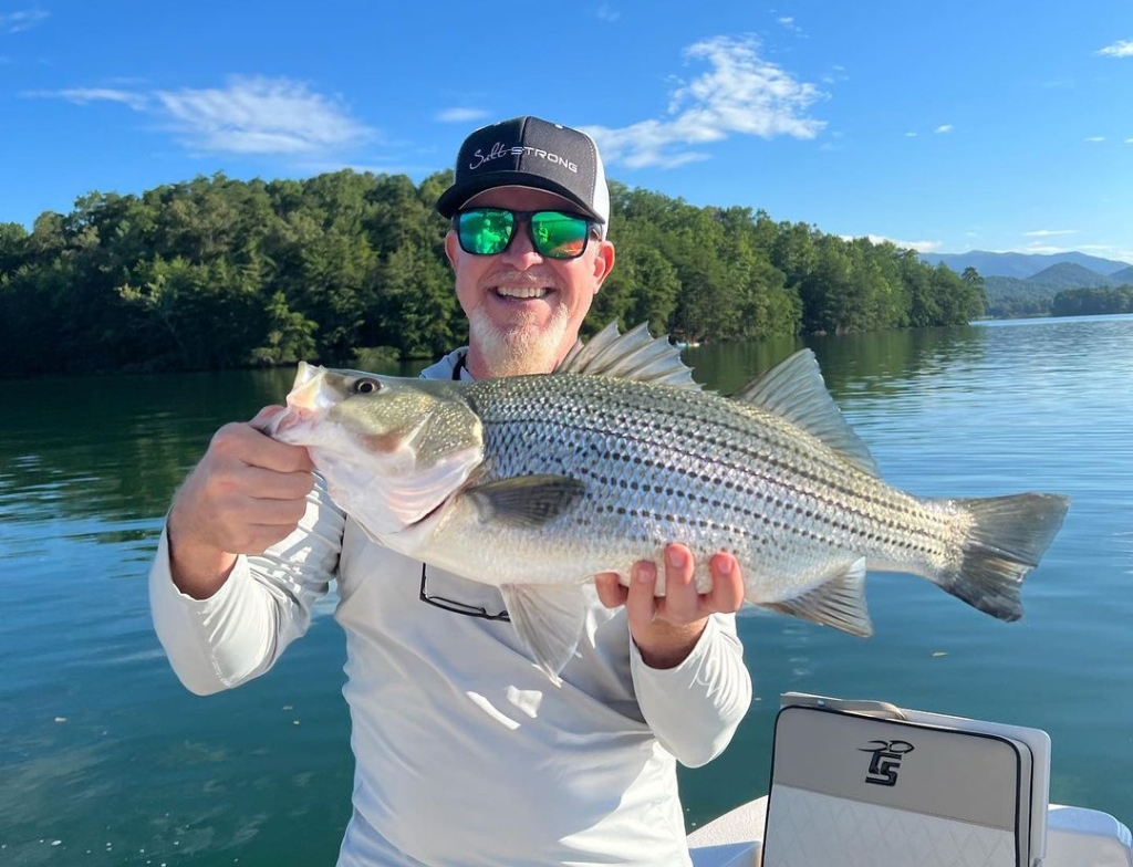 lake chatuge fishing report