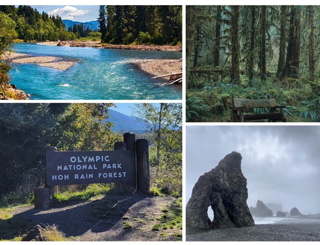 hoh national forest PHOTOS