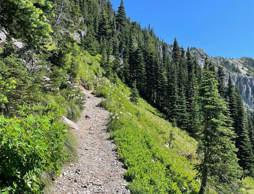 Tolmie peak hike