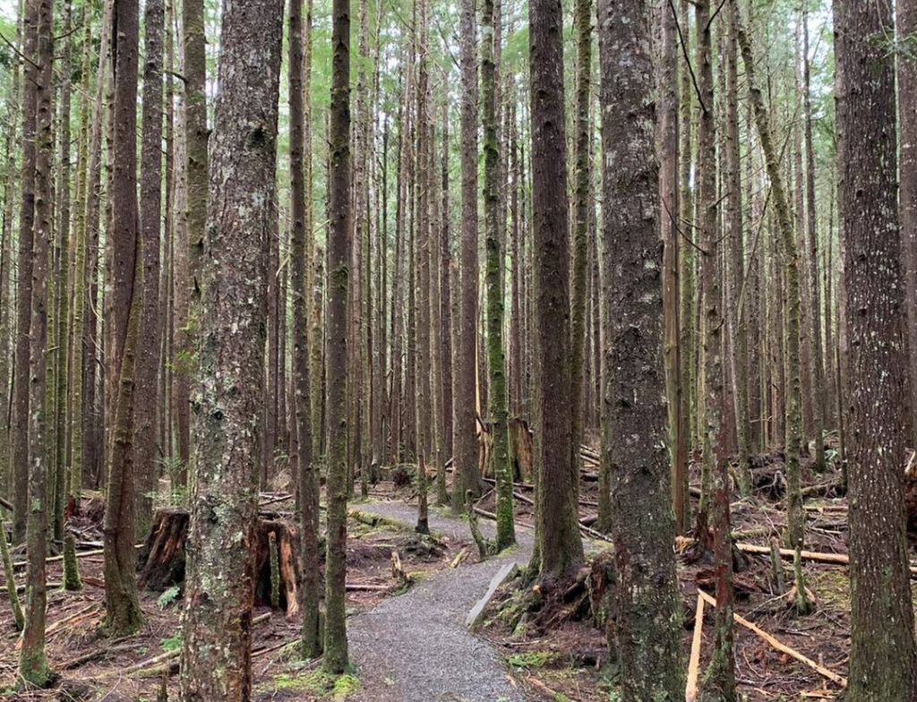 hike Shi Shi Beach