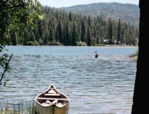 Millerton Lake