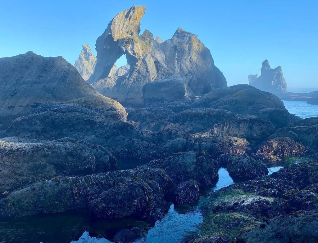 Shi Shi Beach and point of arches