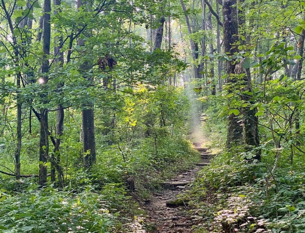 unicoi gap