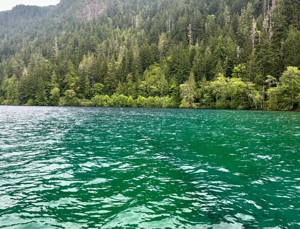 hoh national forest cabins