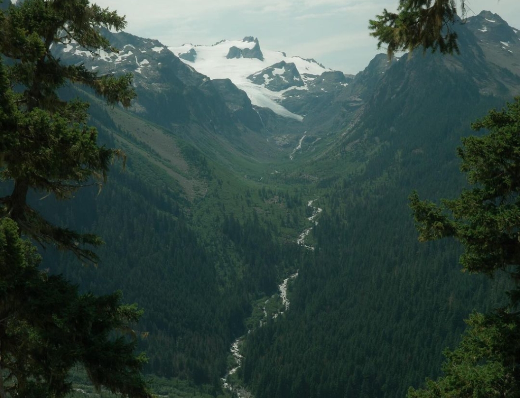 hoh national forest weather