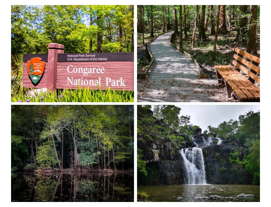 Congaree national park photos