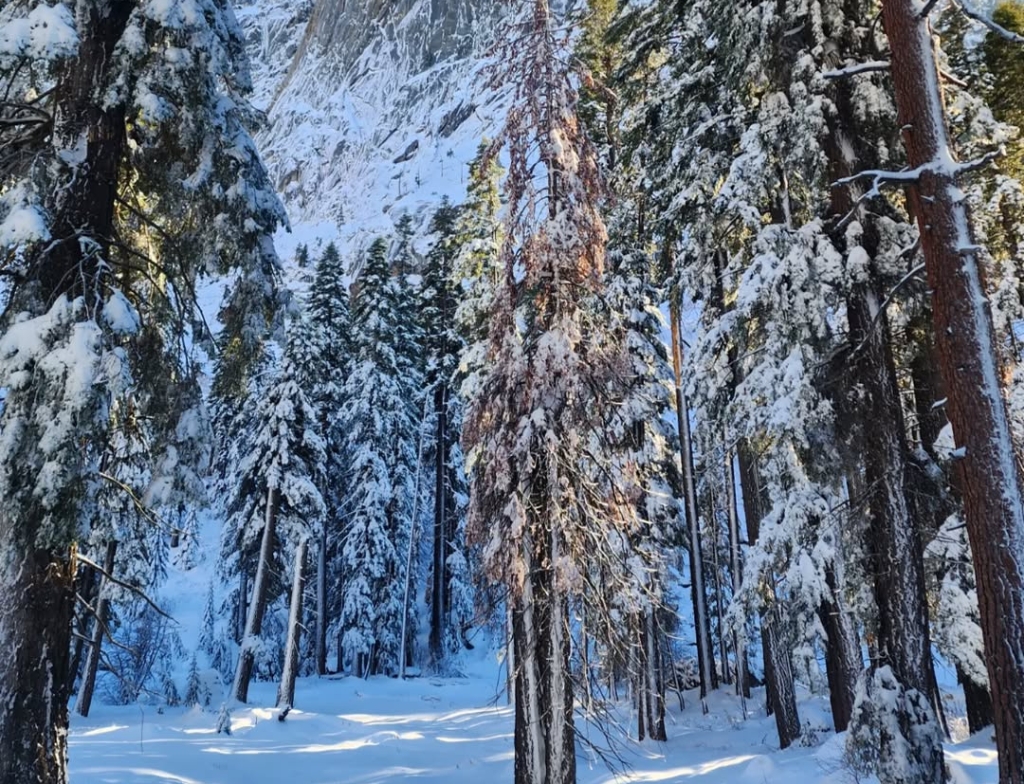 Tokopah Falls weather