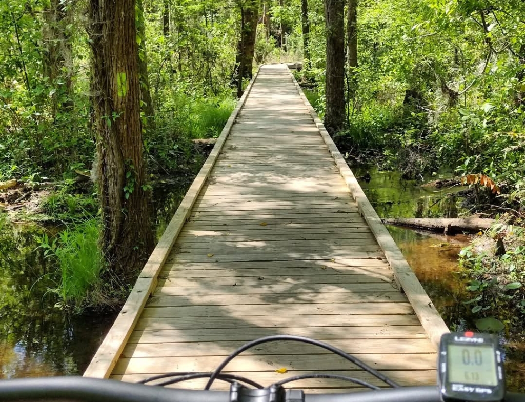 Poinsett State Park bike trail