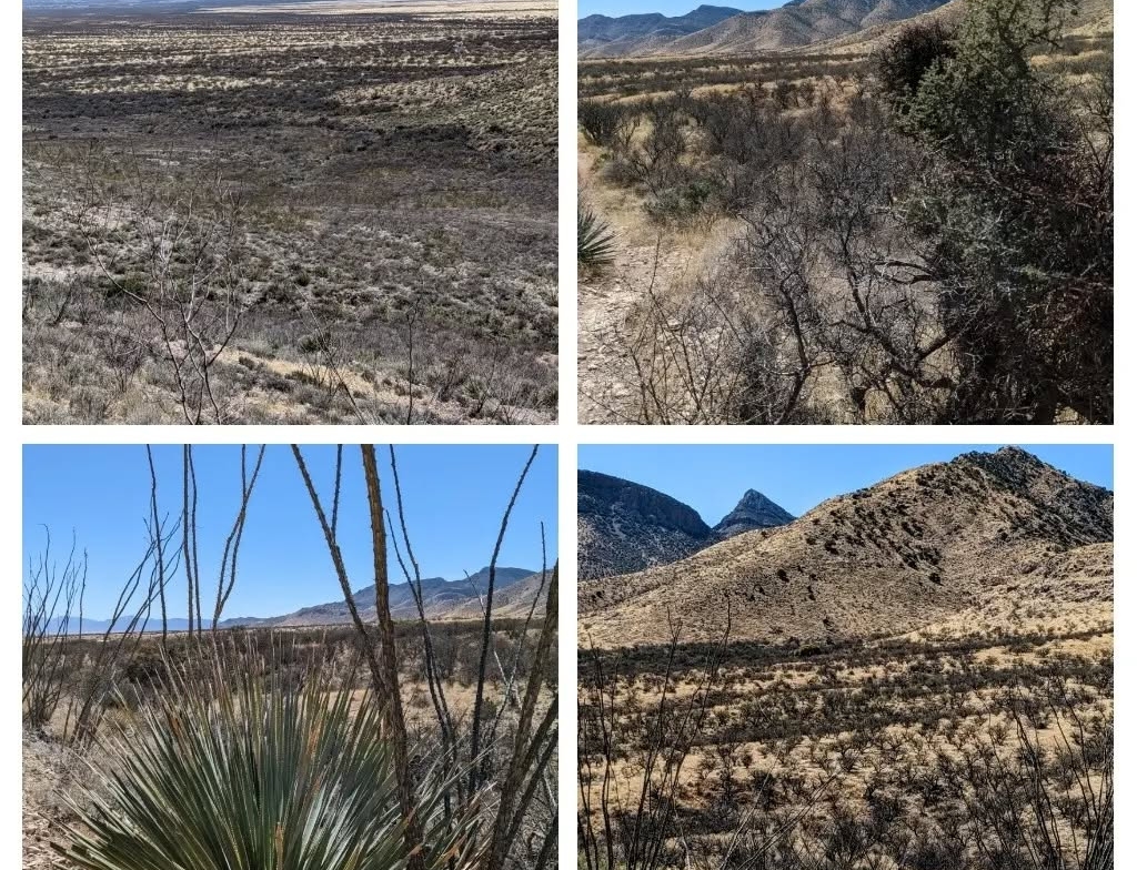 Kartchner Caverns State Park photos